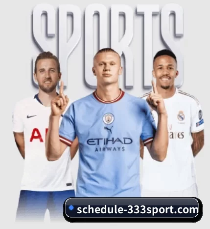 每个板块围绕一个运动项目展开 | 333Sports